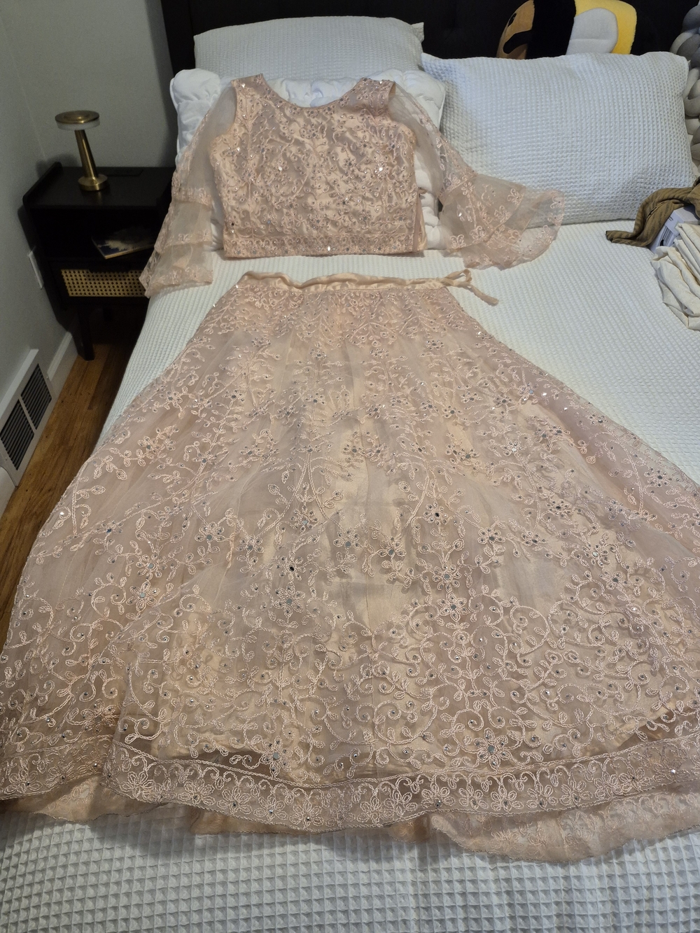 Blush Pink Lengha Dress with Sheer Sleeves